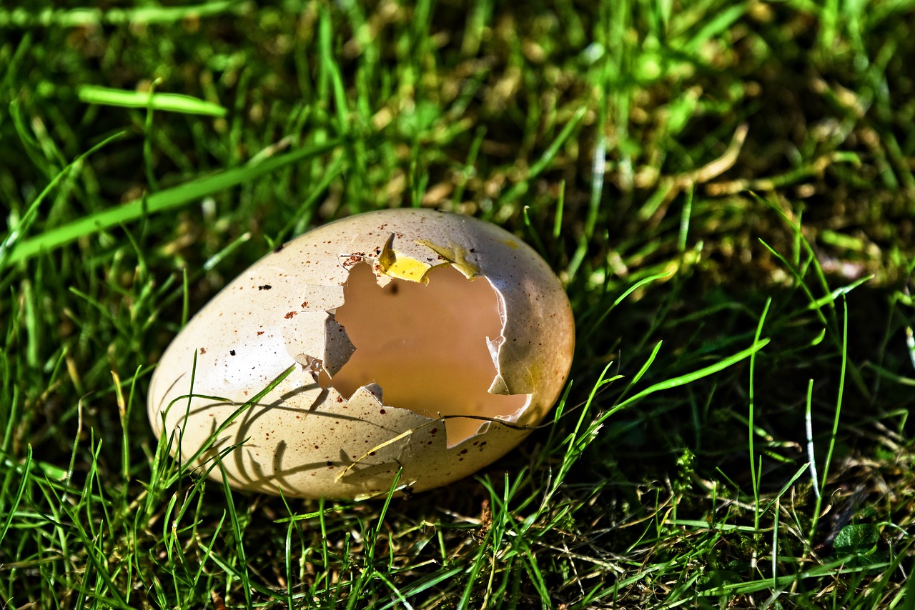 The shell must be left and moved on from for us to be free. The shell must be left and moved on from for us to be free.