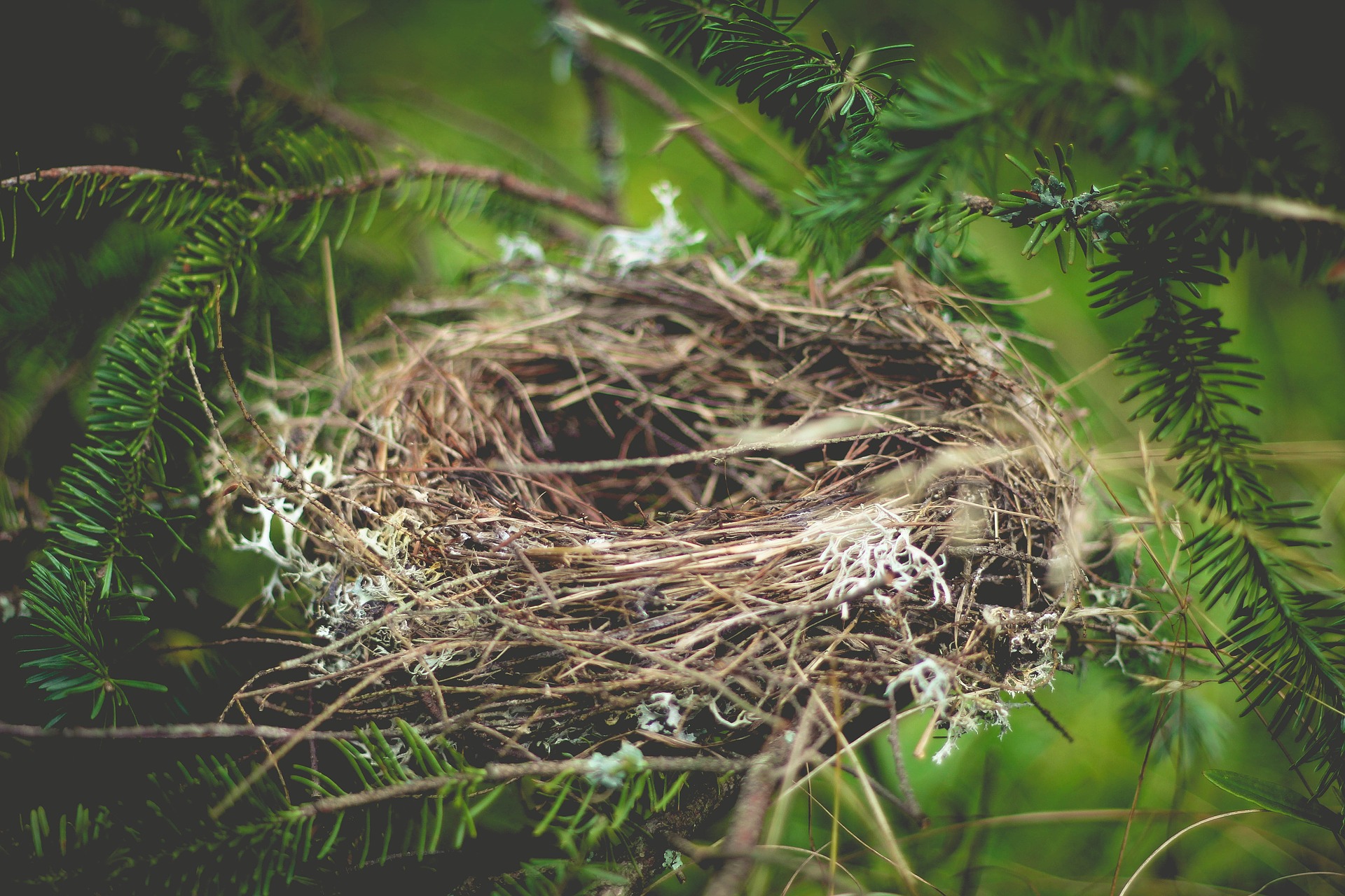 Image from Pixabay Image from Pixabay