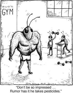going gym - so how many of you think that even while we go to gym it is cumplusary to take supplements to get a good body. and how many of you are satisfied with your body??