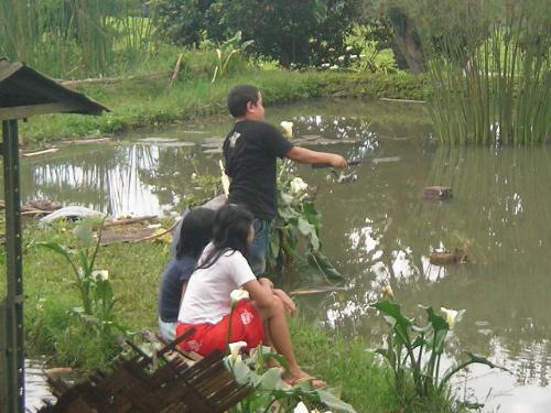 hobbit fishing - fishing at ciwidey