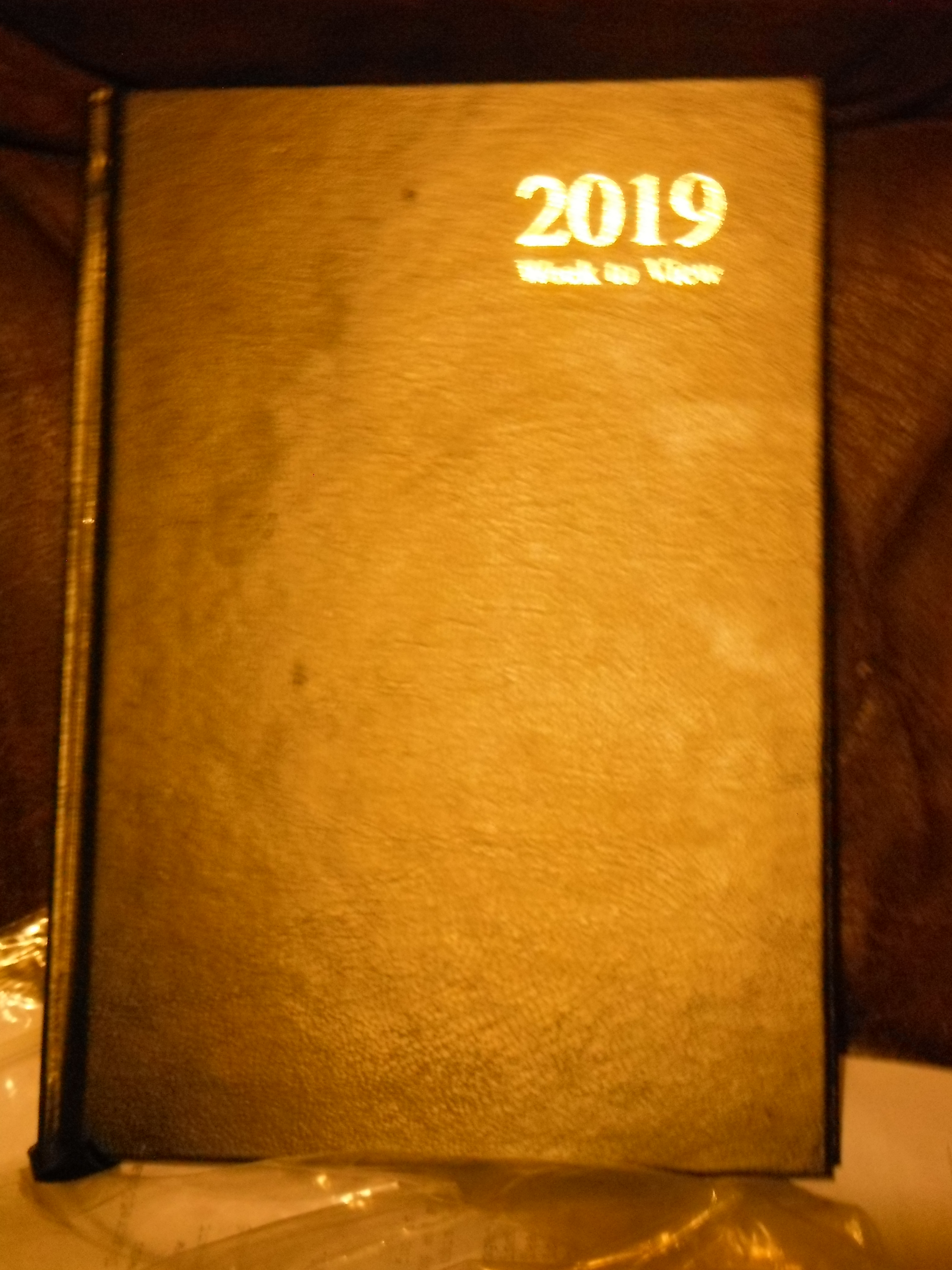 Photo taken by me – my 2019 diary  