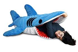 sleeping bag sleeping bag