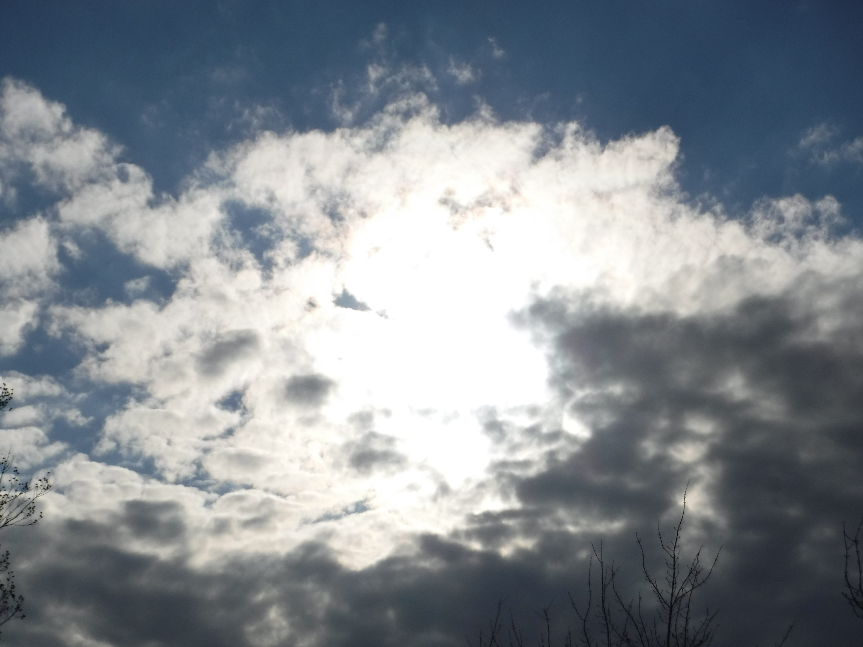 Photo taken by me 1-12-19 Photo taken by me 1-12-19