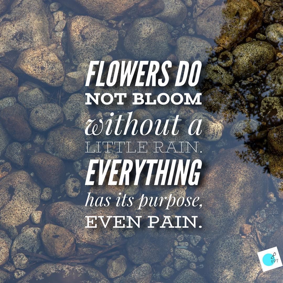 http://www.lovethispic.com/image/335631/flowers-do-not-bloom-without-a-little-rain.-everything-has-its-purpose%2C-even-pain
