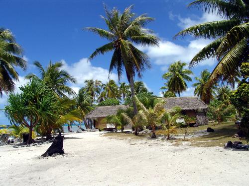 Tropical Beach - a beautiful tropical beach