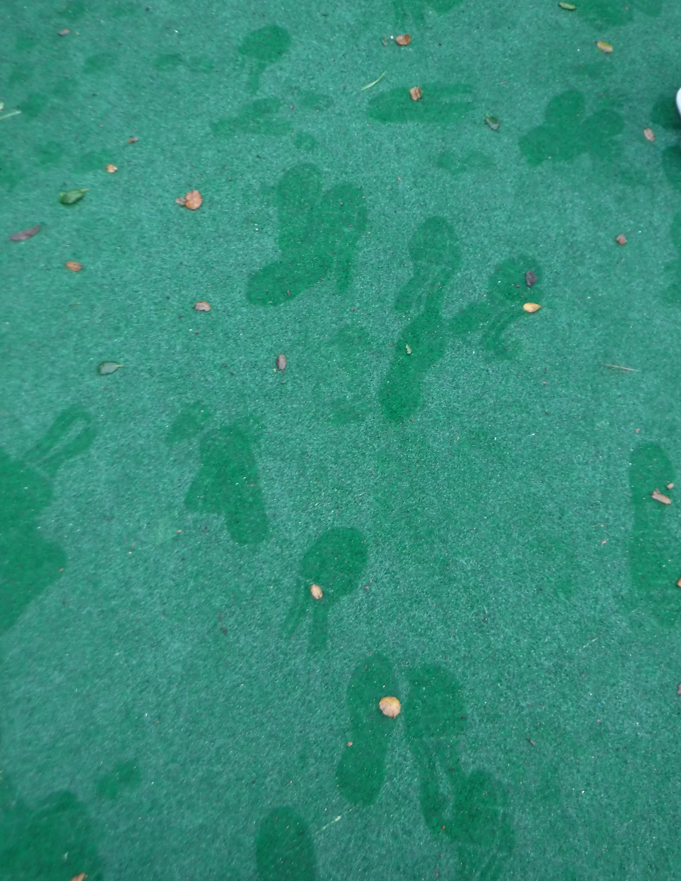 Photo I took of kids&#039; footprints in the play yard at work