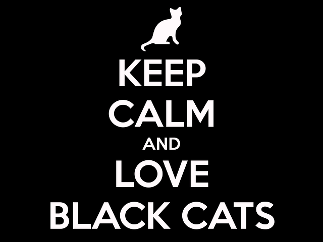 https://pixabay.com/en/cat-black-cat-keep-calm-953219/
