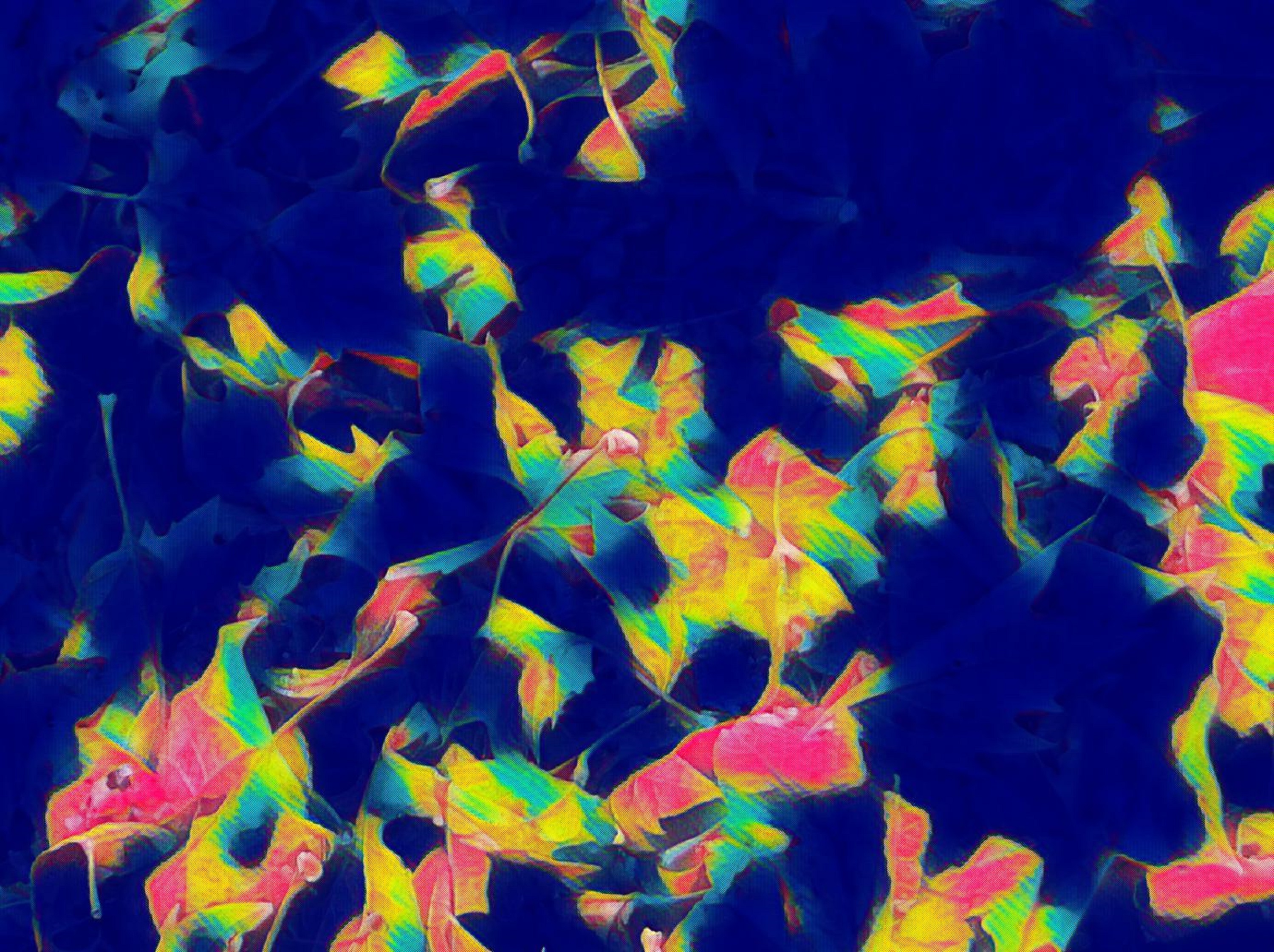 Photo of leaves taken by me with "heatmap" effect on Lunapic.com Photo of leaves taken by me with "heatmap" effect on Lunapic.com