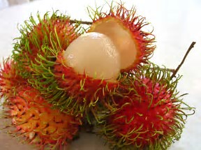 Have you ever had a rambutin?