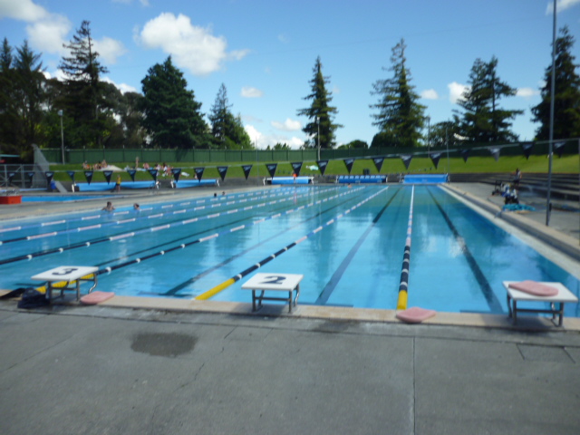 swimming pool where I train