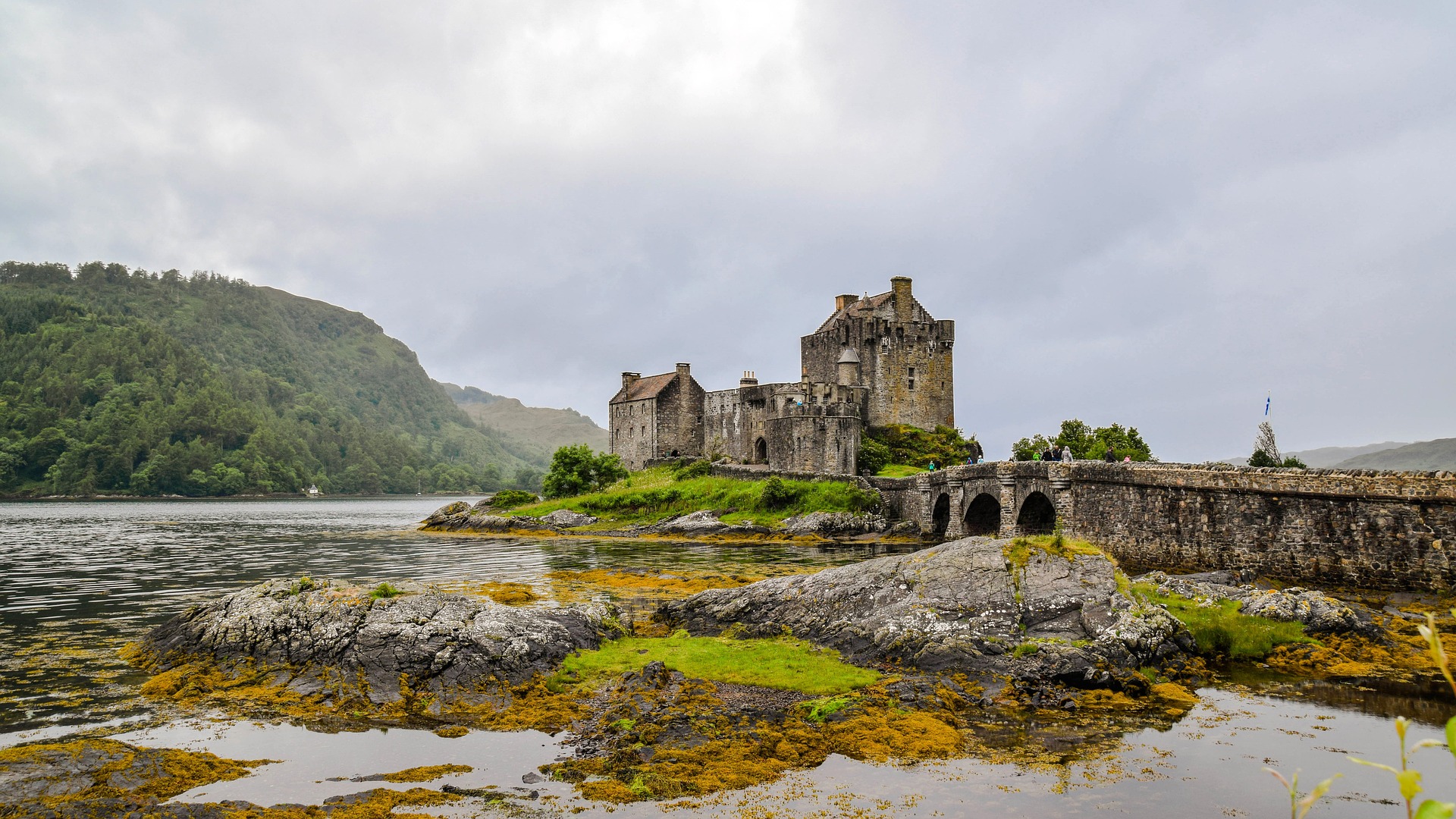 Image from Pixabay Image from Pixabay