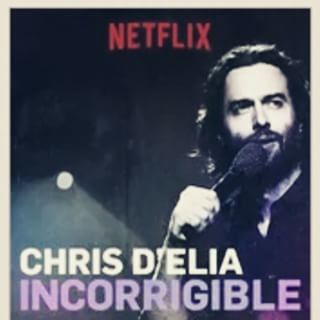 http://dramastyle.com/mo_/Chris-D--Elia-Incorrigible/page/2/