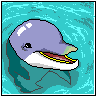dolphin - dolphin