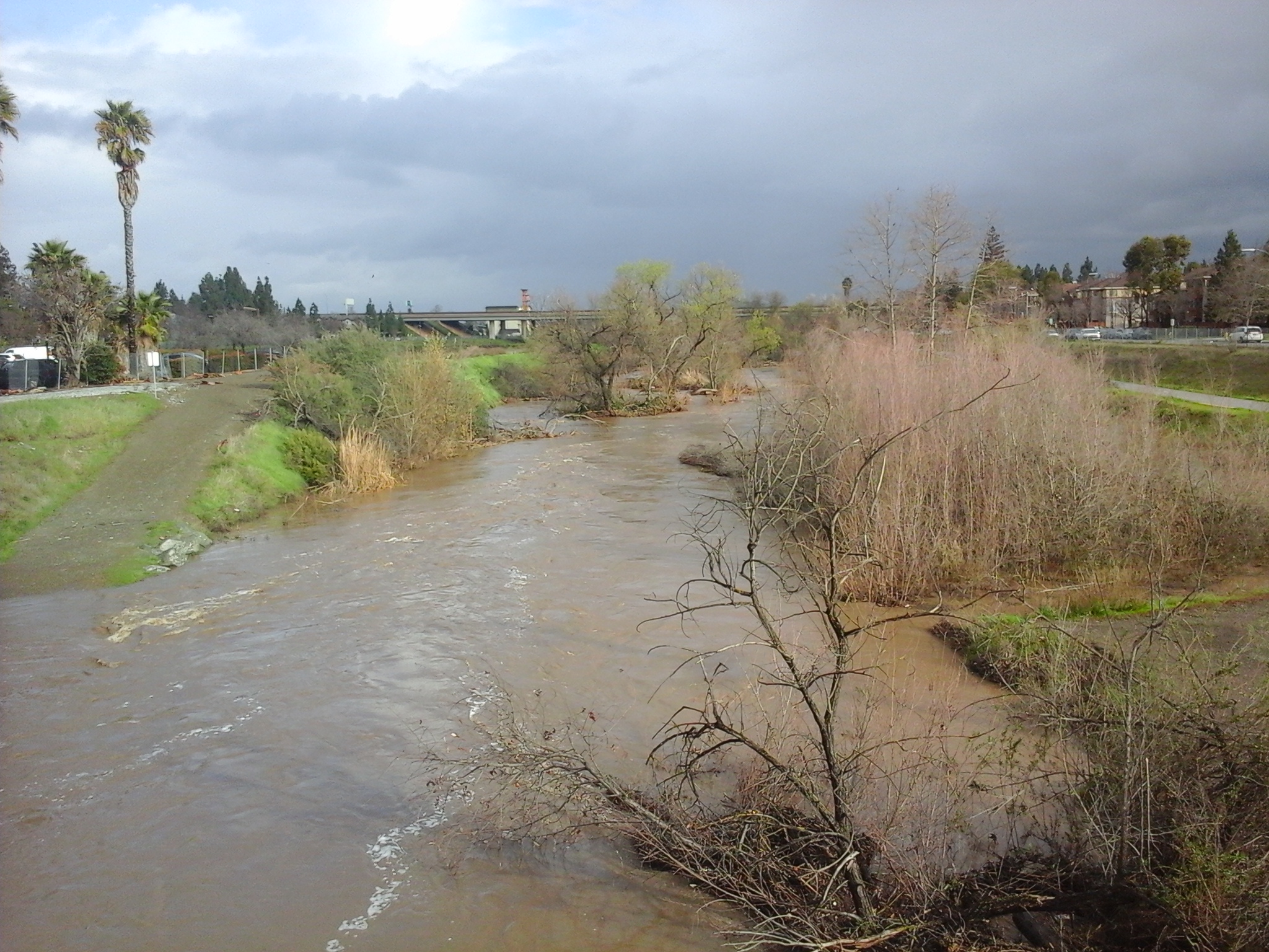 flooded,Guadalupe River,San Jose,pineapple express,atmospheric river flooded,Guadalupe River,San Jose,pineapple express,atmospheric river
