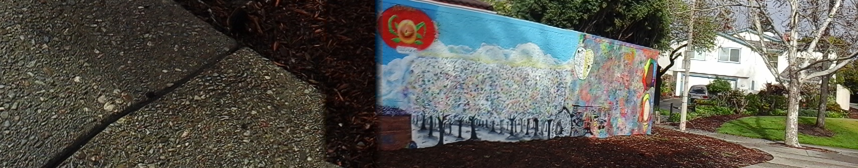 Robertsville,local history,panorama,murals,gold rush