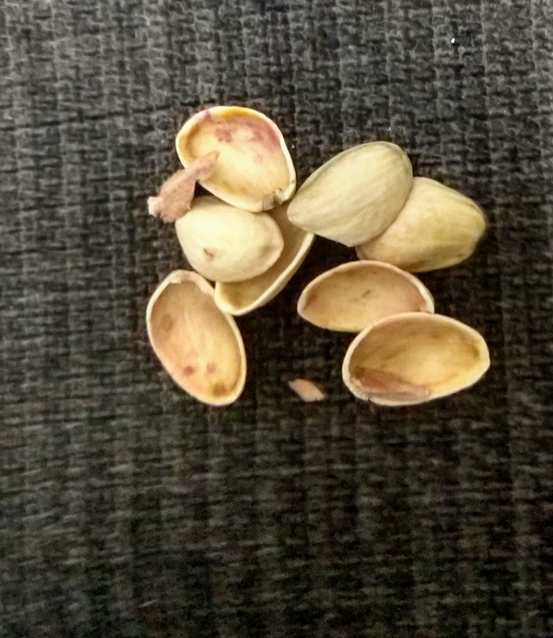 Recycle,nuts, food