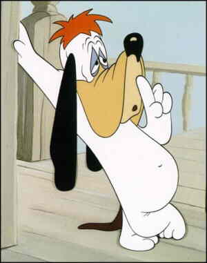 droopy - droopy