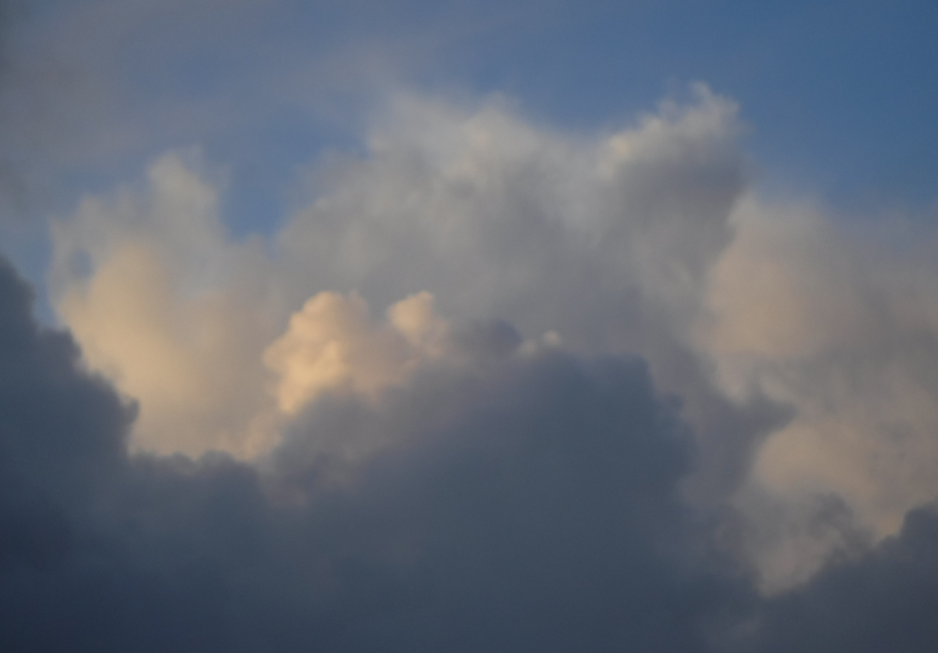 Photo taken by me 2-15-19