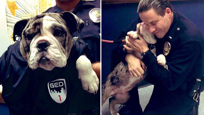 Los Angeles Police solve a dognapping case  