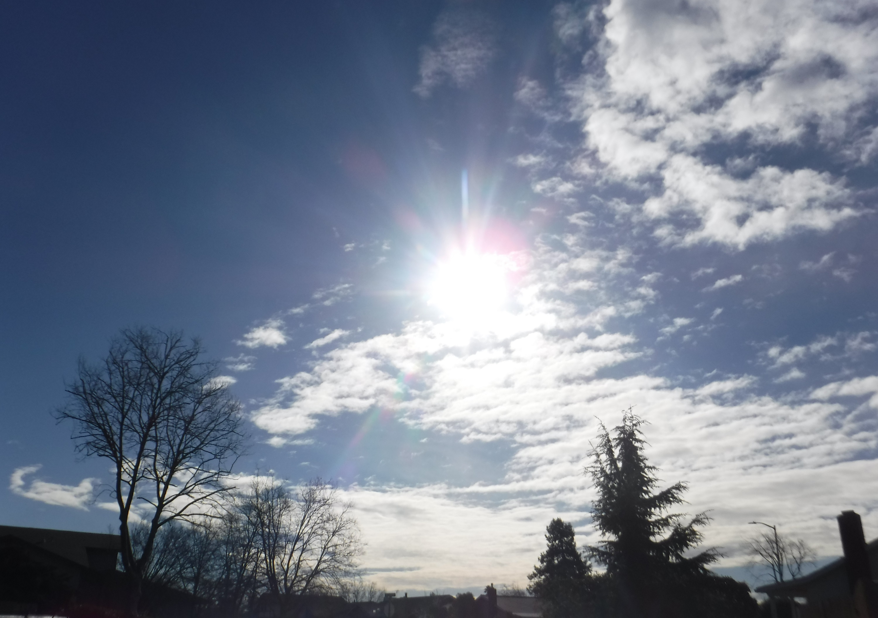 Photo taken by me 2-7-19 Photo taken by me 2-7-19