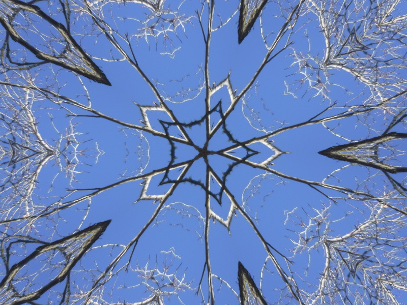Photo taken by me with Kaleidoscope x5 effect Photo taken by me with Kaleidoscope x5 effect