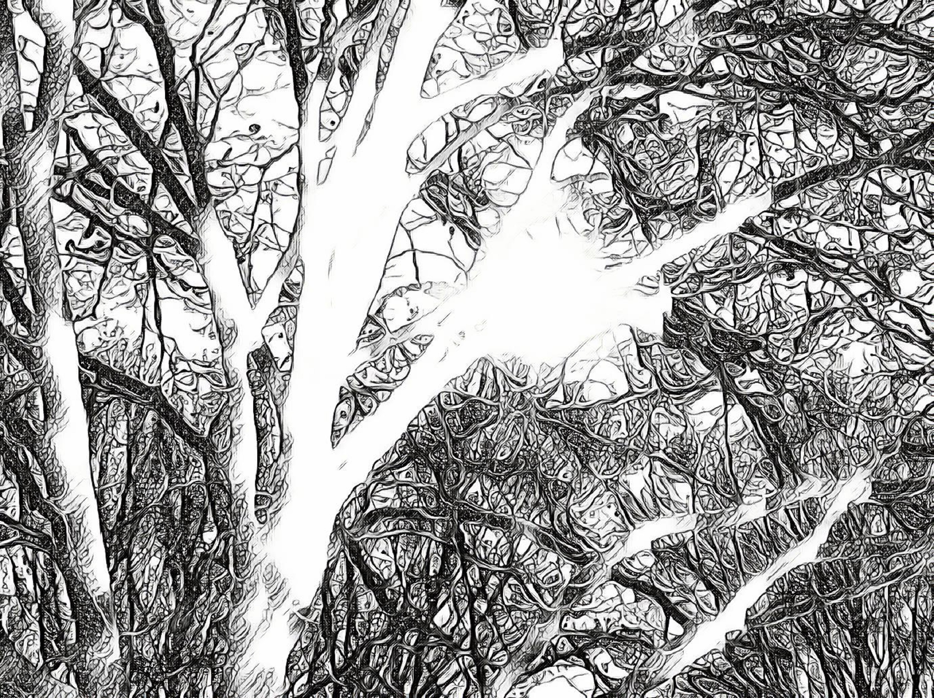 Photo taken by me with Pen effect on LunaPic.com