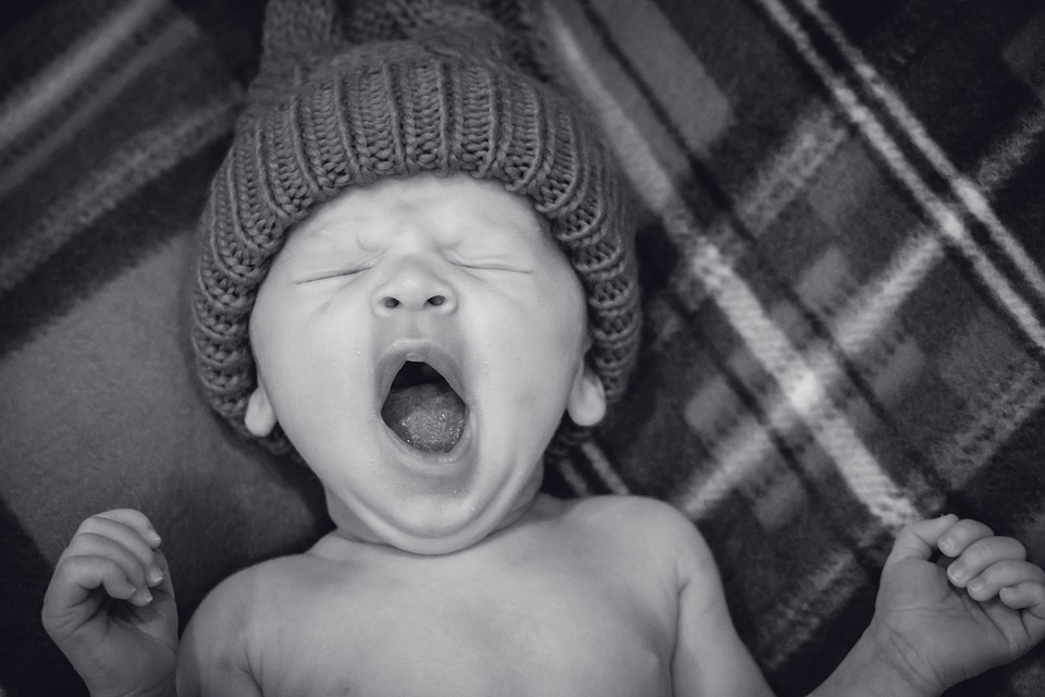 yawn baby yawn baby