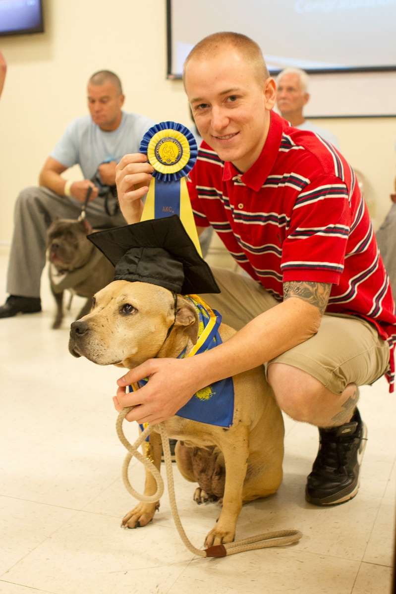 A Pit Bull named Cuddles has a new home in New York A Pit Bull named Cuddles has a new home in New York