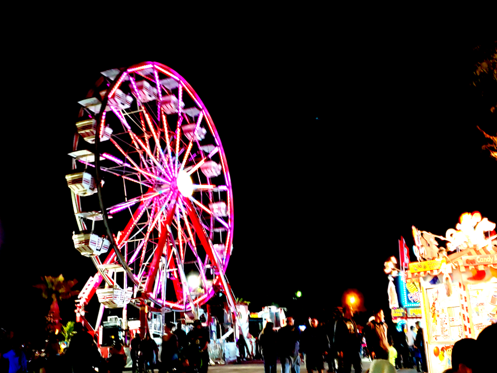 Ferris Wheel Ferris Wheel