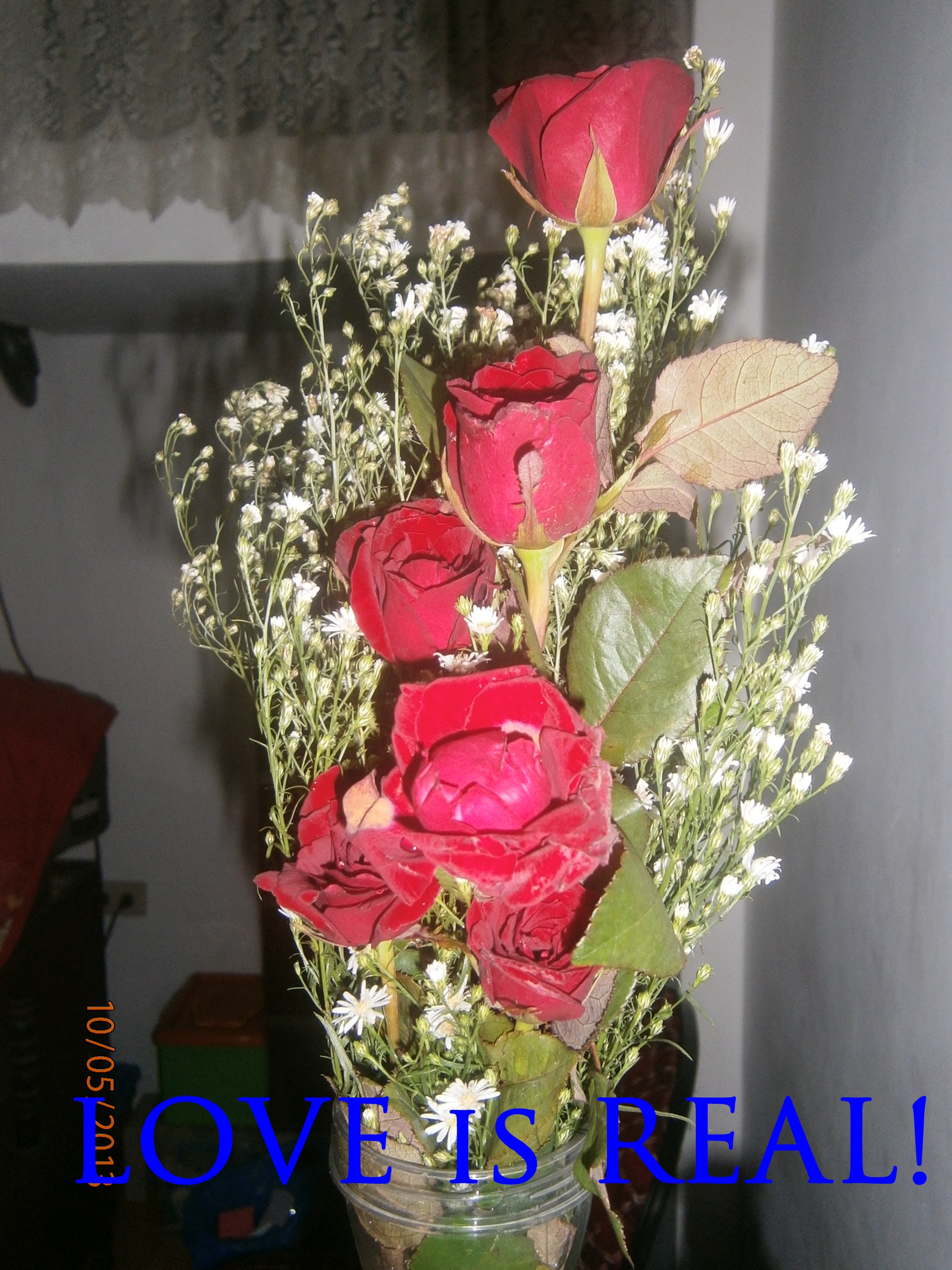 myloverose myloverose