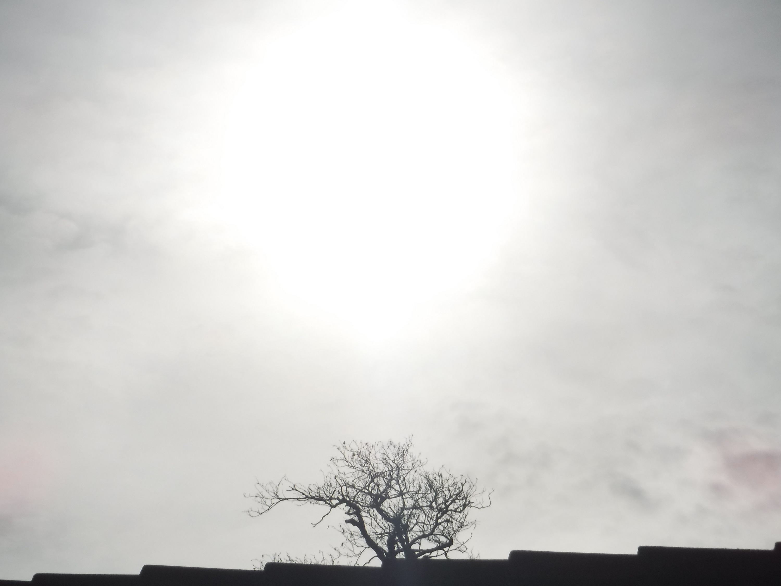 Photo taken by me