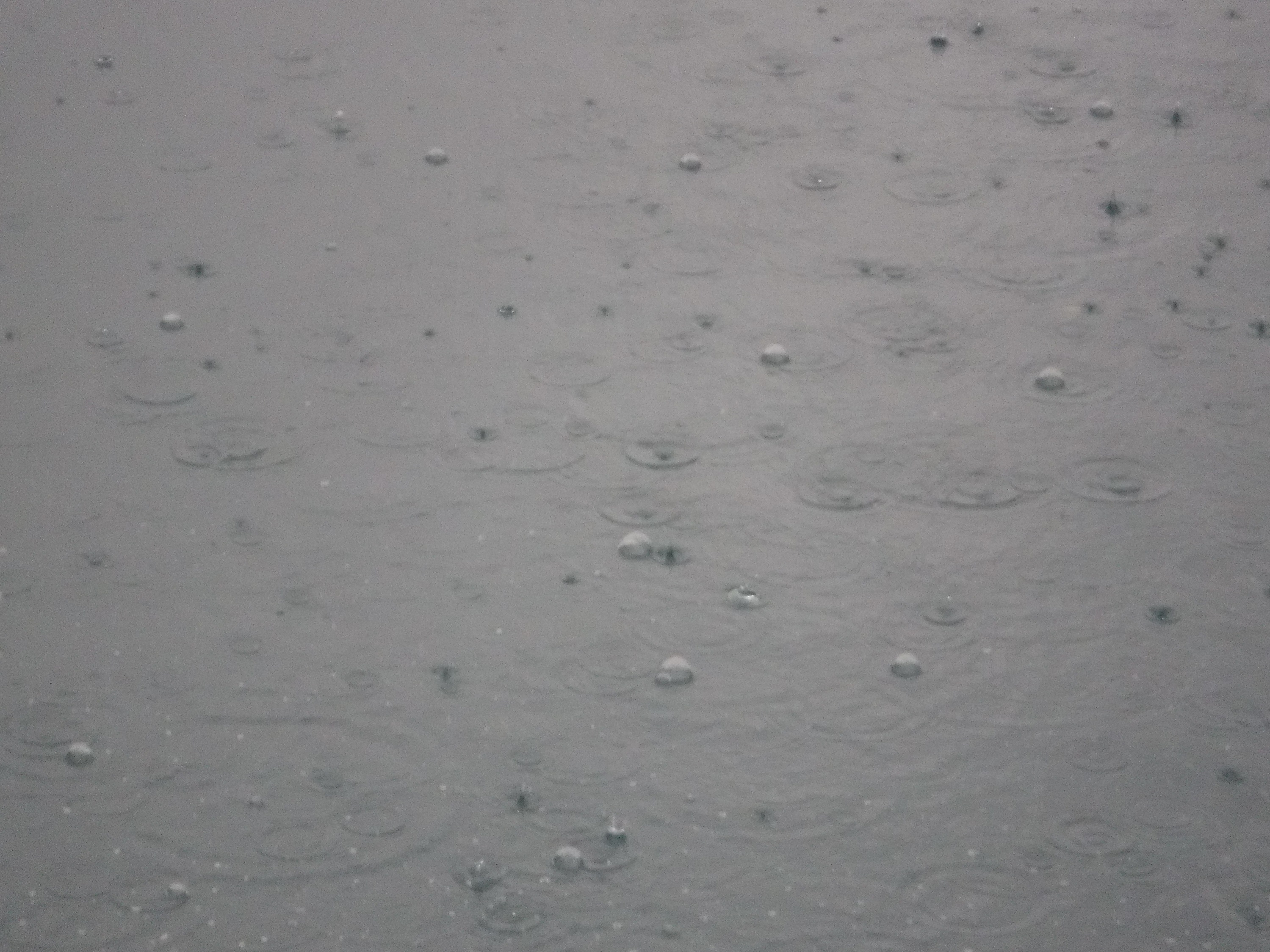 Photo I took of rain falling on the lake at the park today 3-9-19