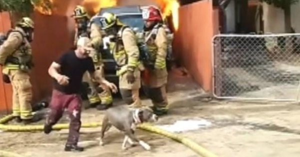 A brave man enters a burning home to rescue his dog who was inside A brave man enters a burning home to rescue his dog who was inside