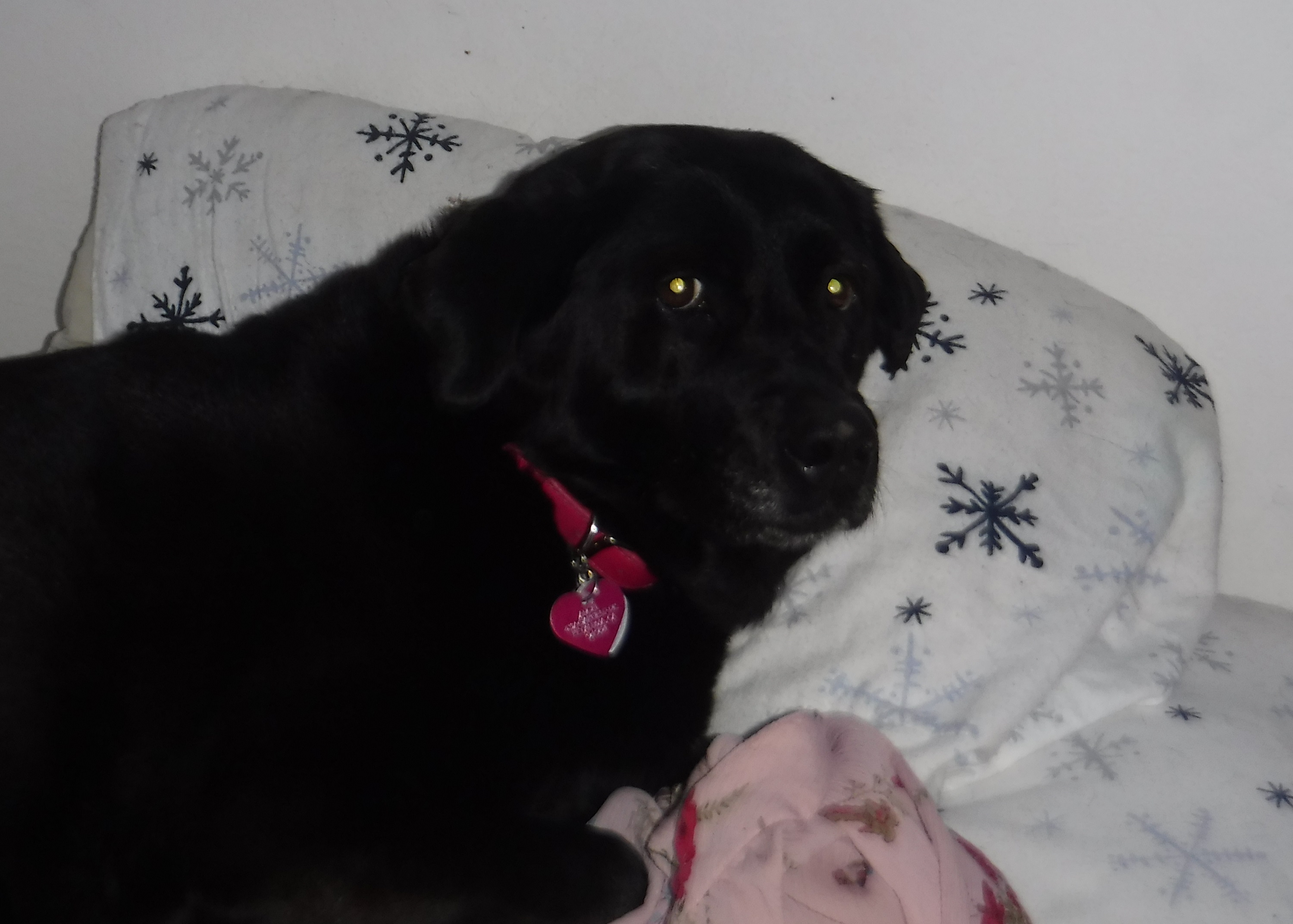 Angel: "Do I have to get up?" Angel: "Do I have to get up?"
