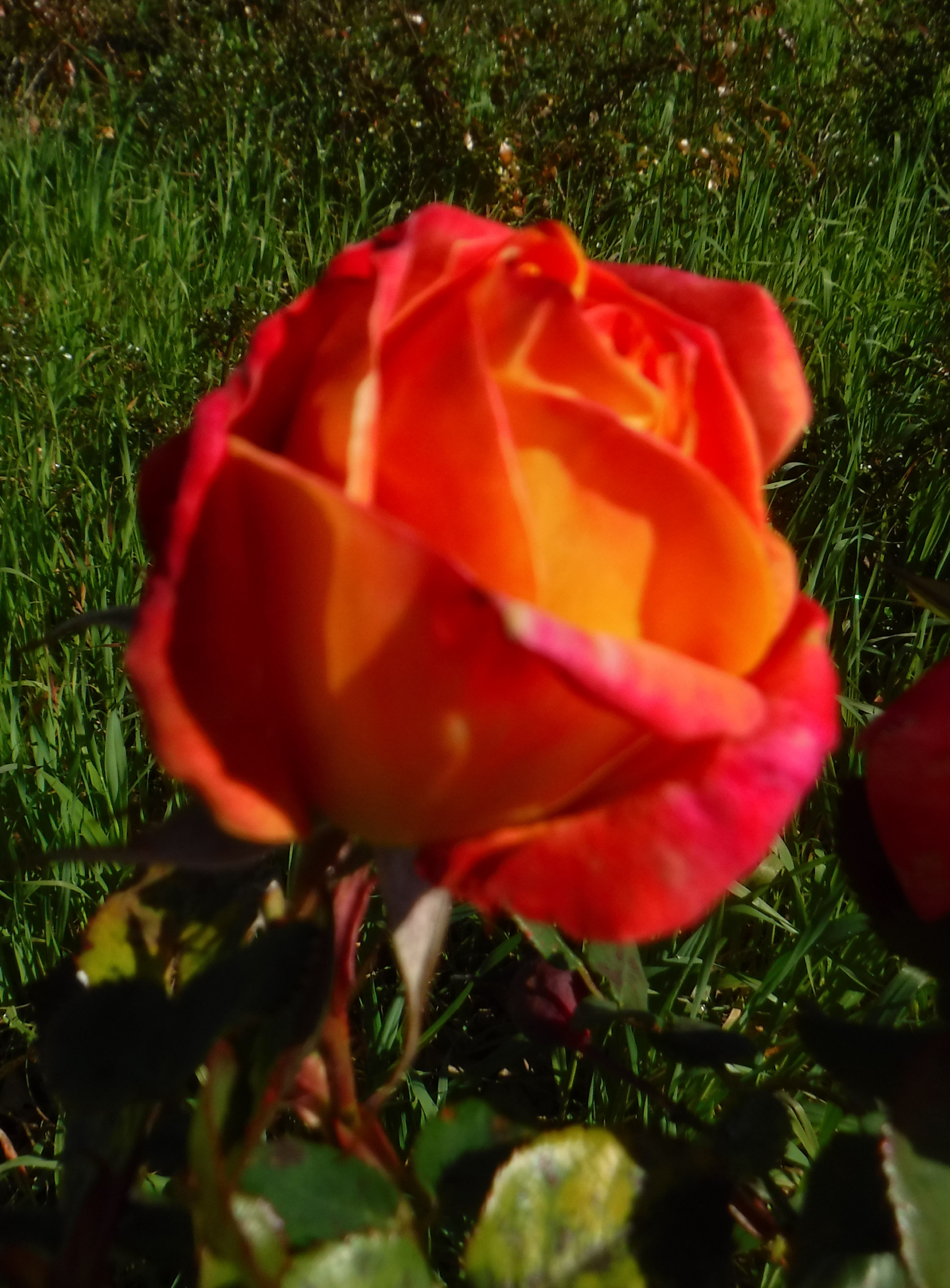 Photo taken by me 