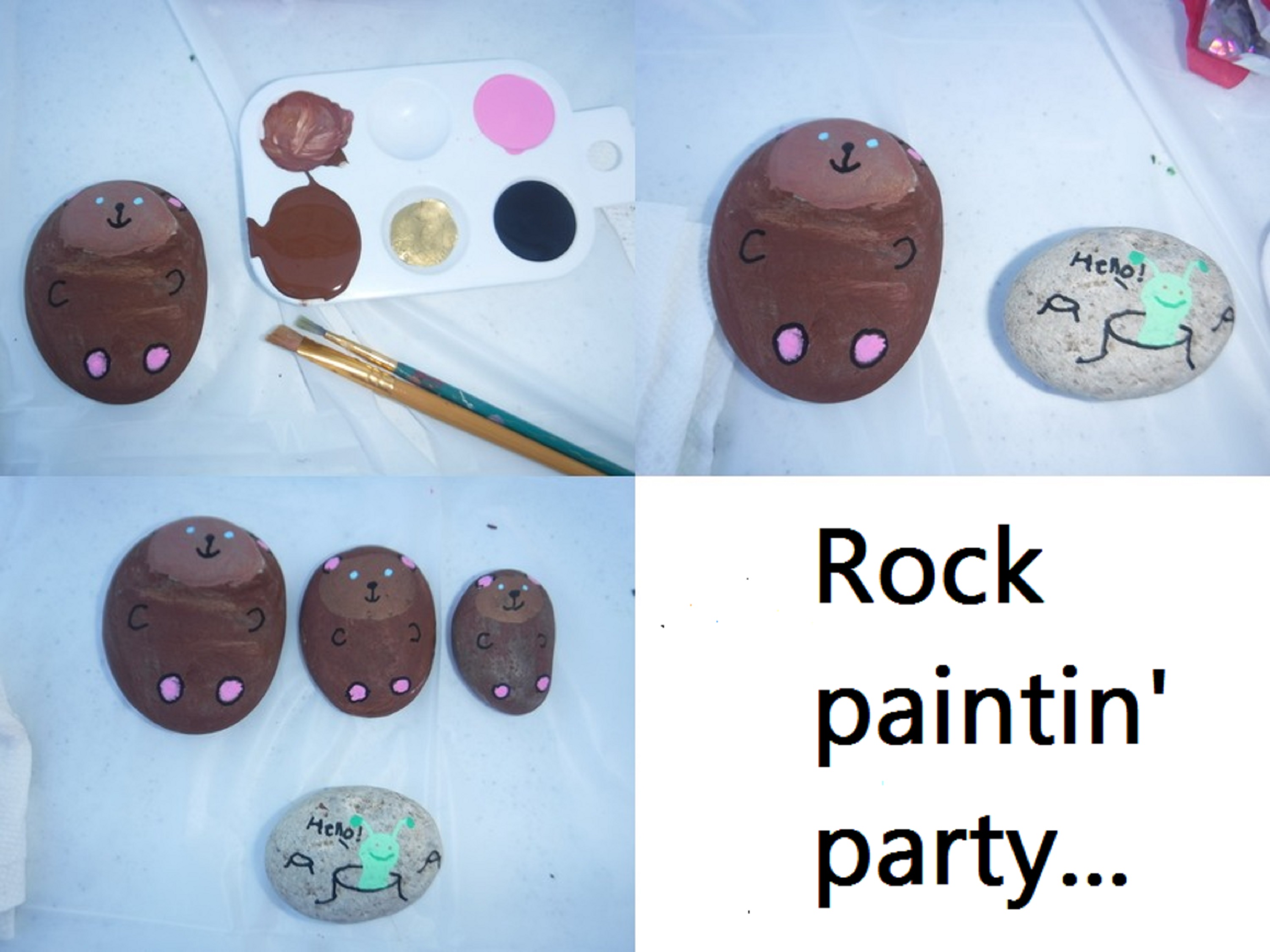 Collage I made of the photos I took of my painted rocks