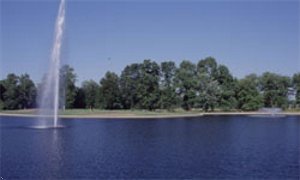 park in jasper - sandycreek park