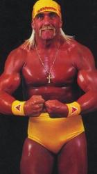 hulk - hulk hogan