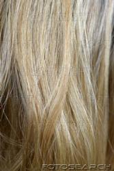 Long Hair - Close up of long hair
