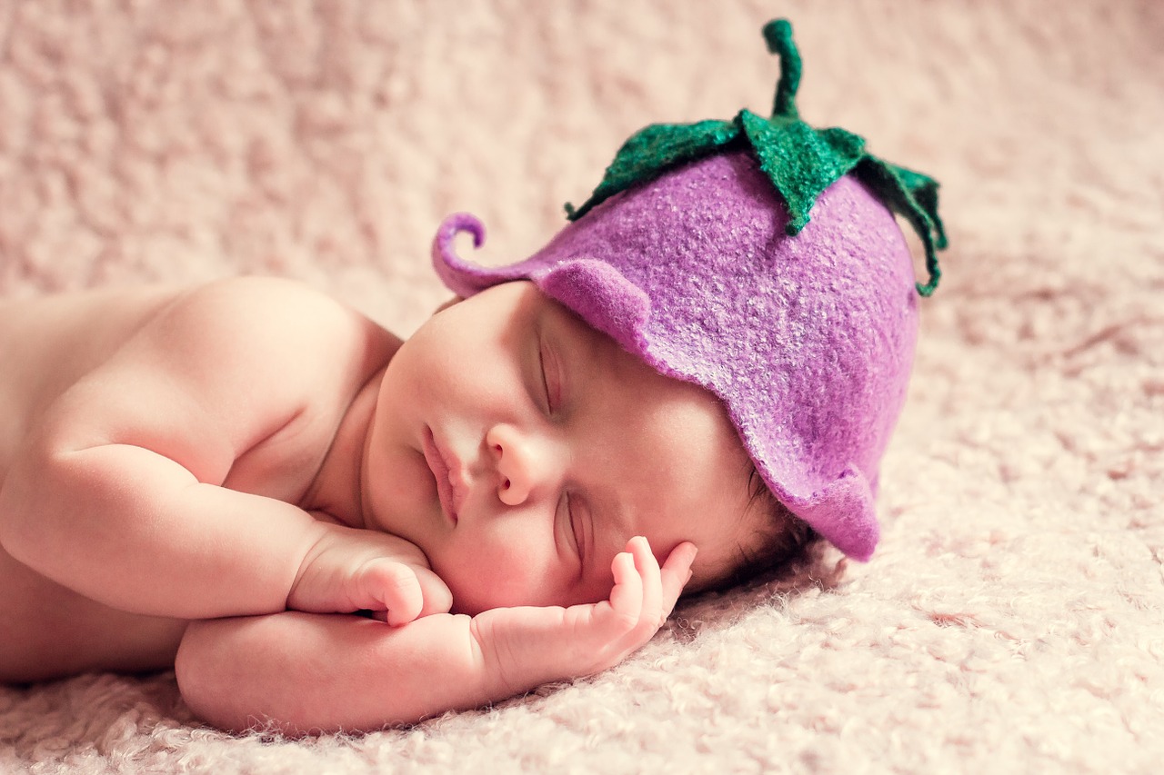 Image is from Pixabay. Image is from Pixabay.