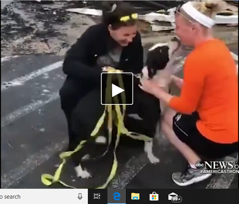 First responder (L) handing Rebel to his owner Kayla Blake