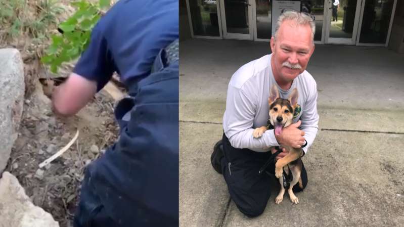 North Charleston Firefigher Captain Paul Bryant and his new dog Rocky