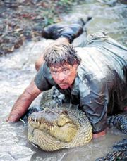 Steve Irwin - In 1992, Irwin married Terri Raines from Eugene, Oregon, United States. The pair had met a few months earlier when Raines had visited the zoo on a holiday. Said Terri at the time, 'I thought there was no one like this anywhere in the world. He sounded like an environmental Tarzan, a larger-than-life superhero guy.'