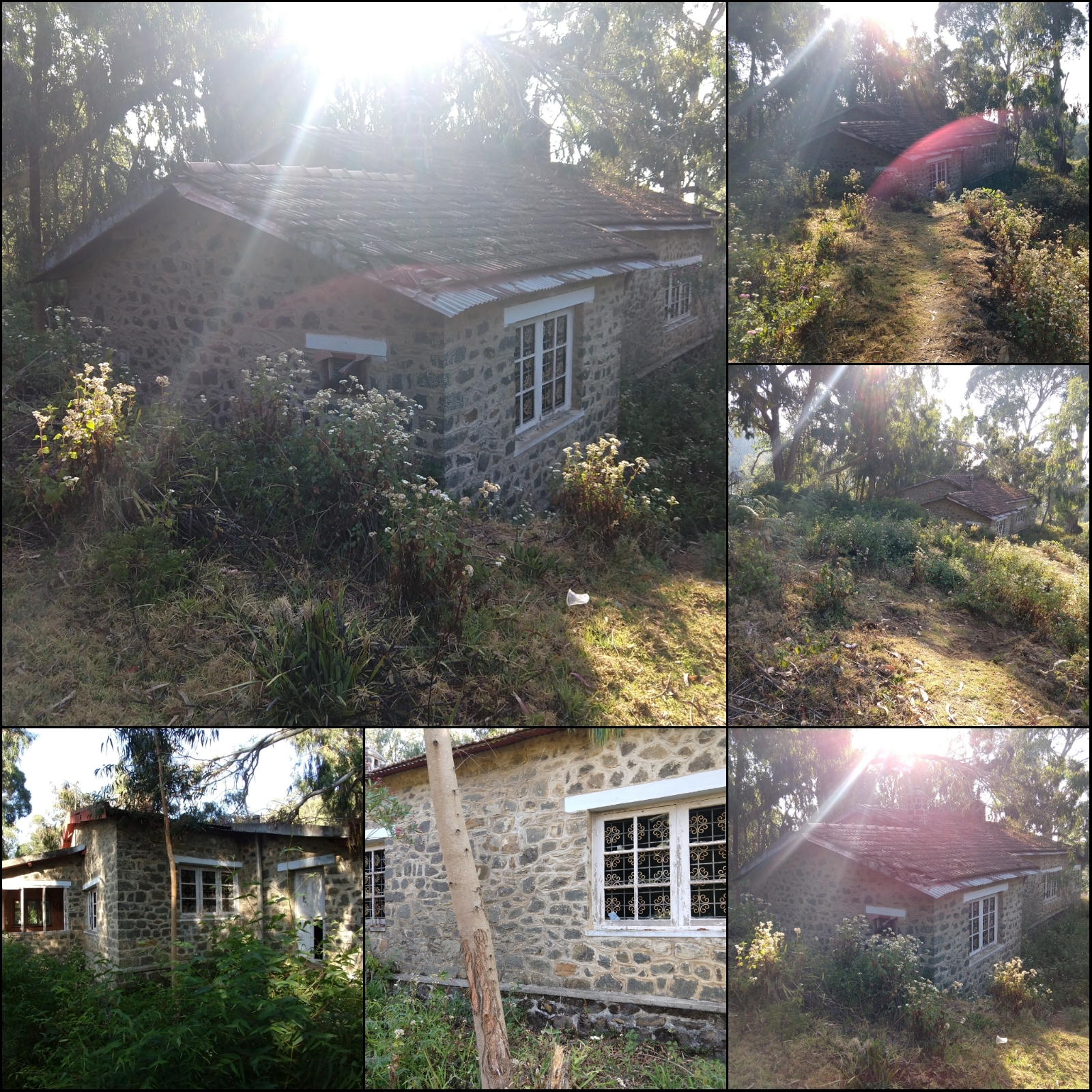 Collage, abandoned house