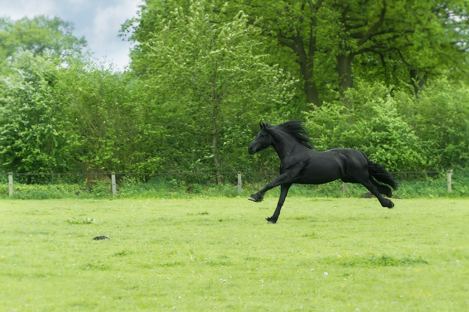 image from Pixabay image from Pixabay