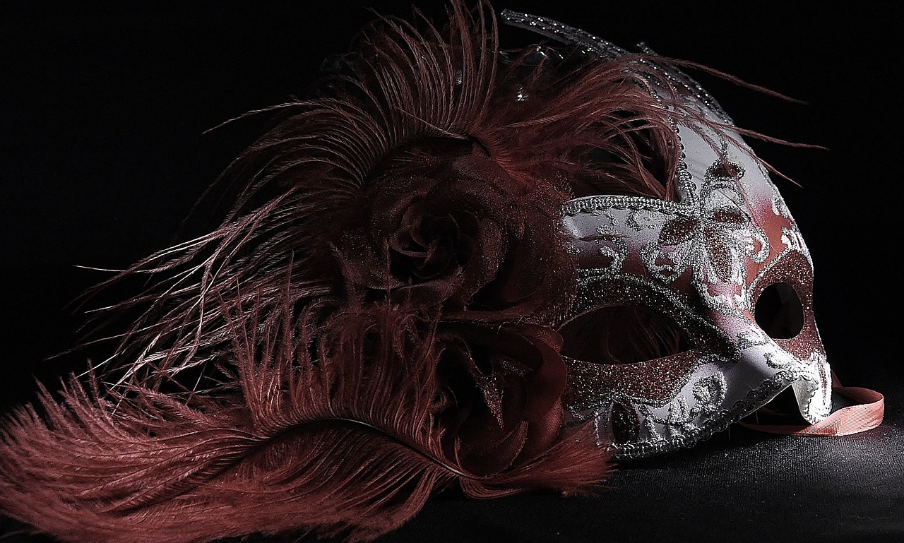 https://pixabay.com/photos/venetian-mask-red-light-painting-1129347/ https://pixabay.com/photos/venetian-mask-red-light-painting-1129347/
