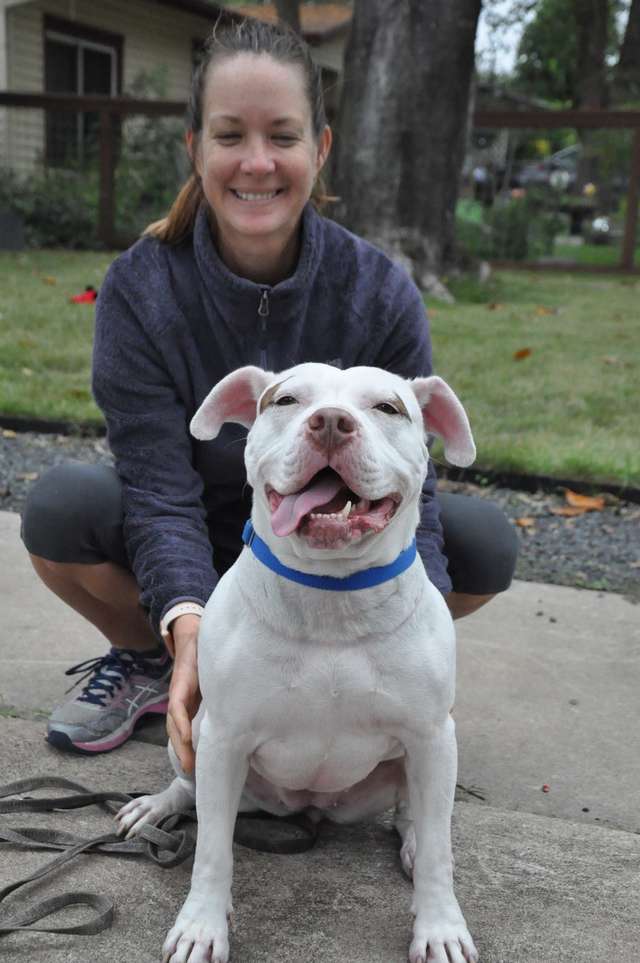Jane Taylor and her pit bull Nellie