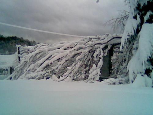 snow - snow