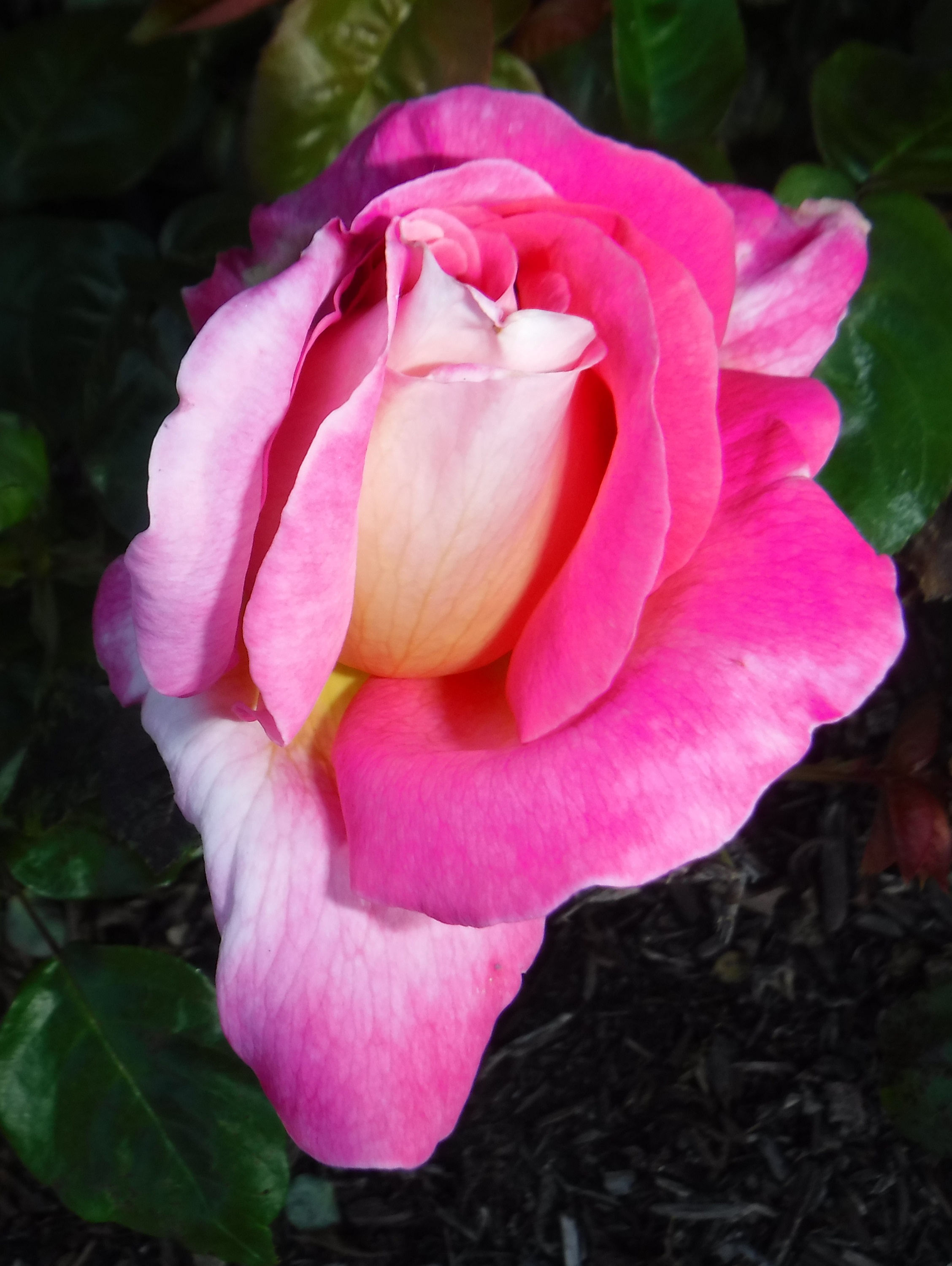 Photo taken by me