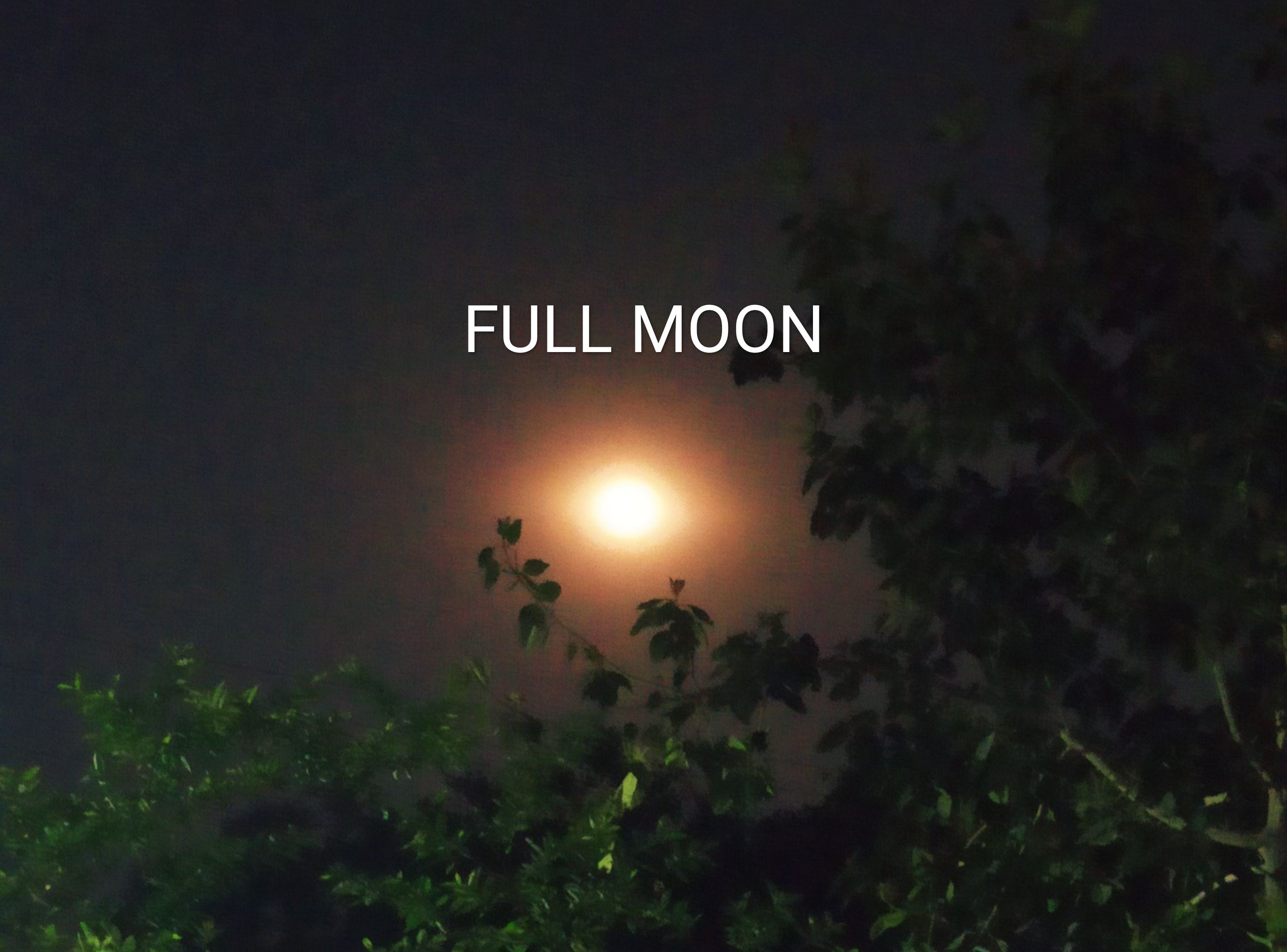 a full moon image